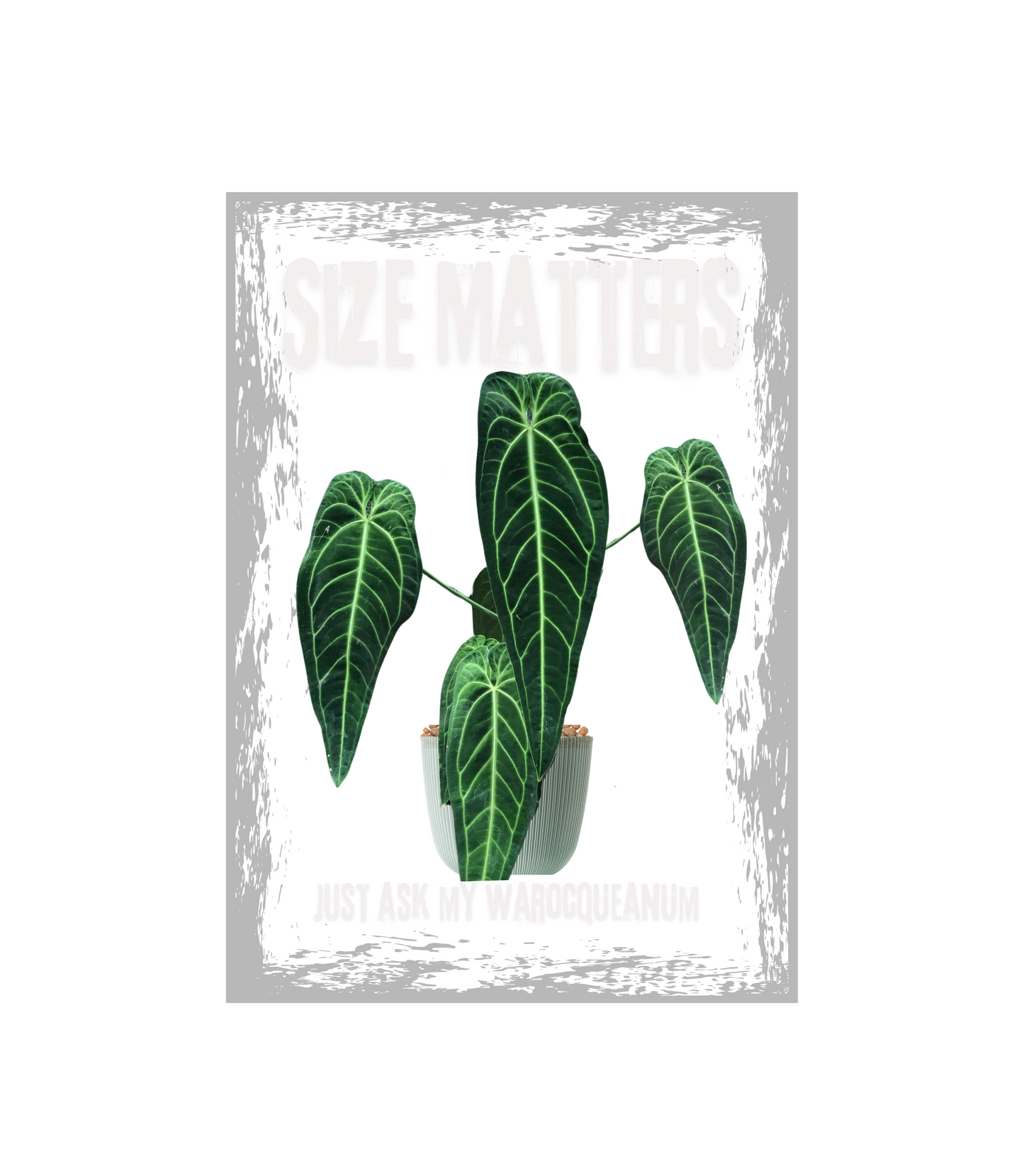 Funny Plant Lover Anthurium T-Shirt, Size Matters Unisex Tee, Botanical Shirt, Gardening Gift, Warocqueanum