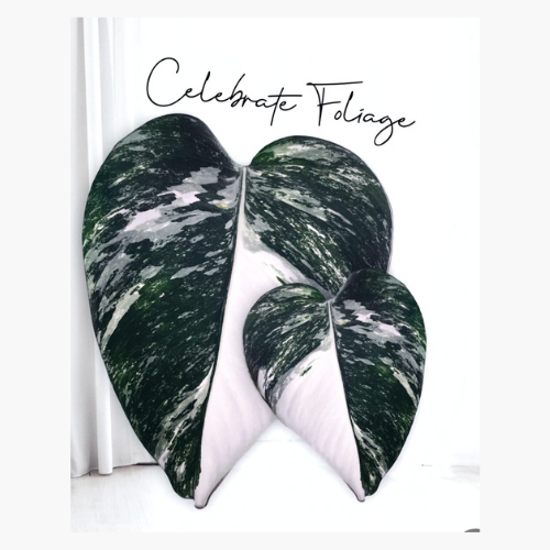 Celebrate Foliage